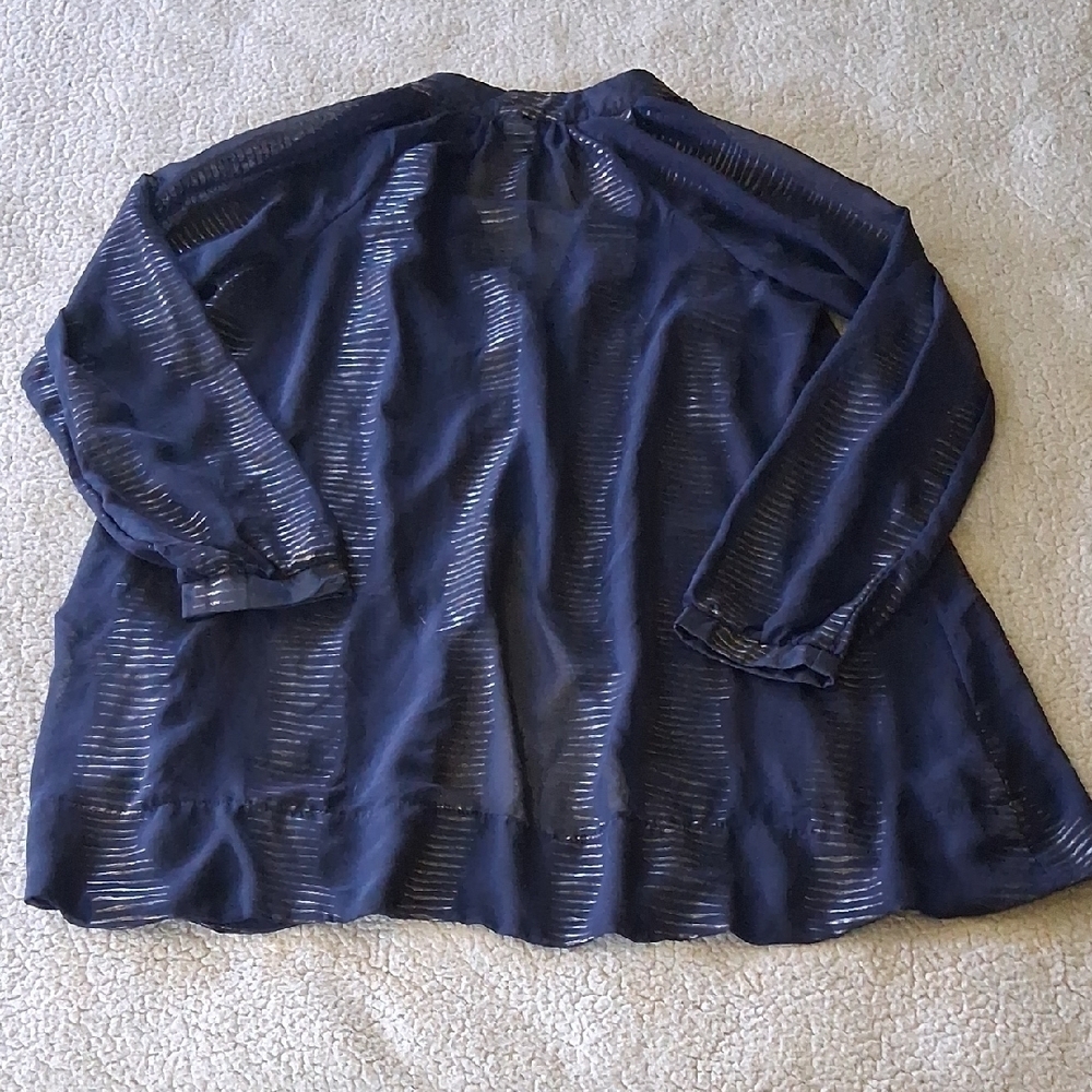 Buddy Love Navy Sheer Blouse - Picture 5 of 5